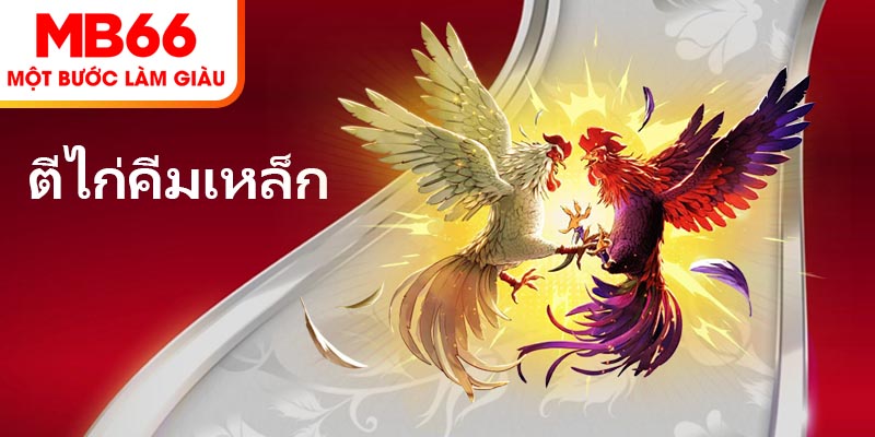 ตีไก่คีมเหล็ก – เคล็ดลับคว้ารางวัลมหาศาลที่ MB66 ปี 2025