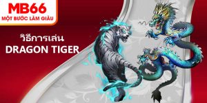 วิธีการเล่น Dragon Tiger สำหรับสมาชิกที่ MB66
