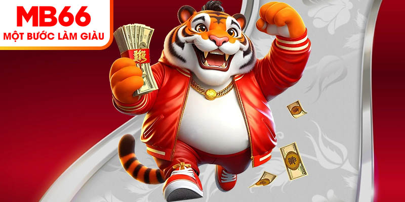เงื่อนไขการดาวน์โหลดแอป MB66 ที่ผู้เล่นต้องปฏิบัติตาม
